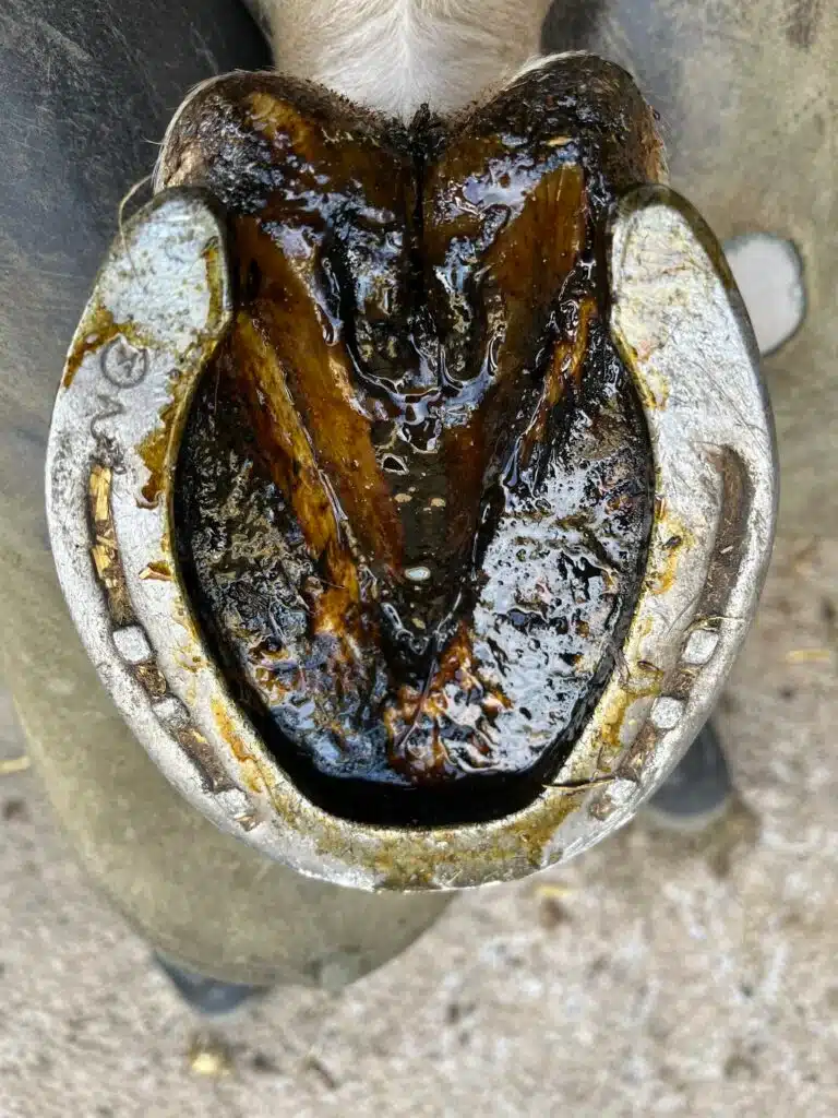 Application du produit