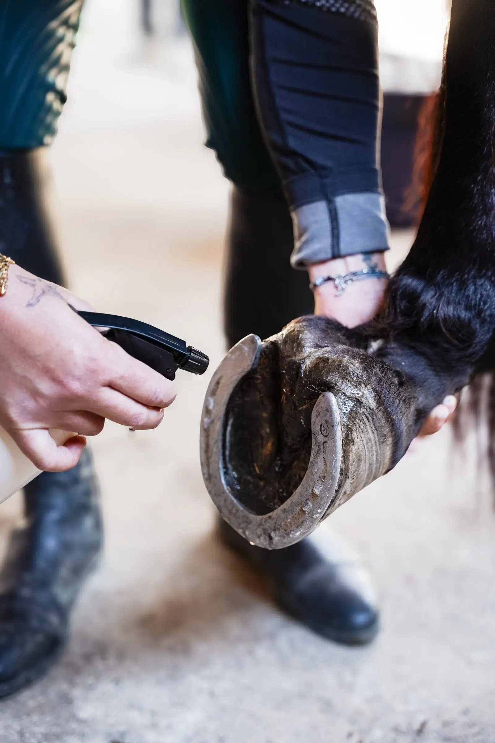 soin-pour-sabot-pied-cheval