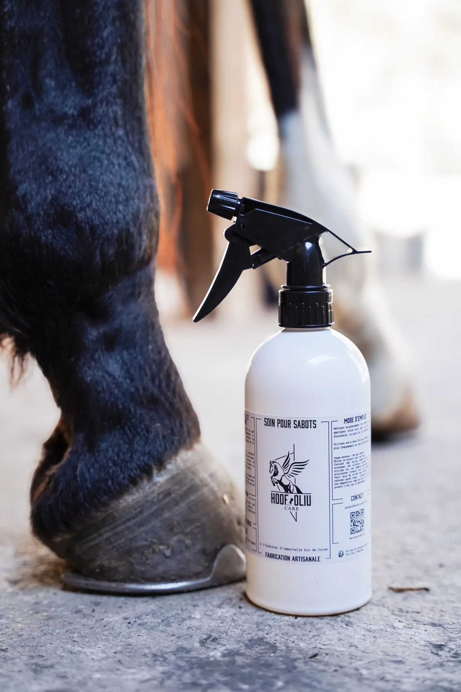 soin-pour-sabot-pied-cheval